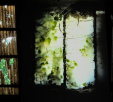 Maison et jardin