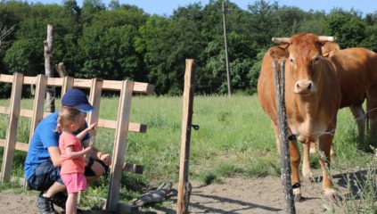 Les Jeunes Agriculteurs du 49