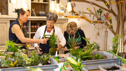 Les Ateliers de Radis et Capucine