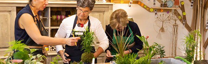 Les Ateliers de Radis et Capucine