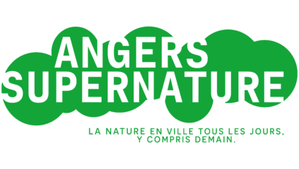 Angers Supernature