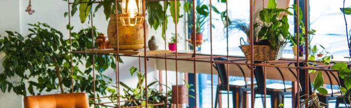 Le Jardin – Le Chemin du Bonheur