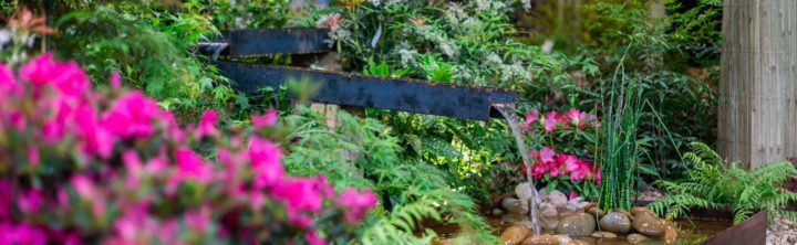 Le Jardin respectueux de la nature